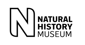 自然历史博物馆